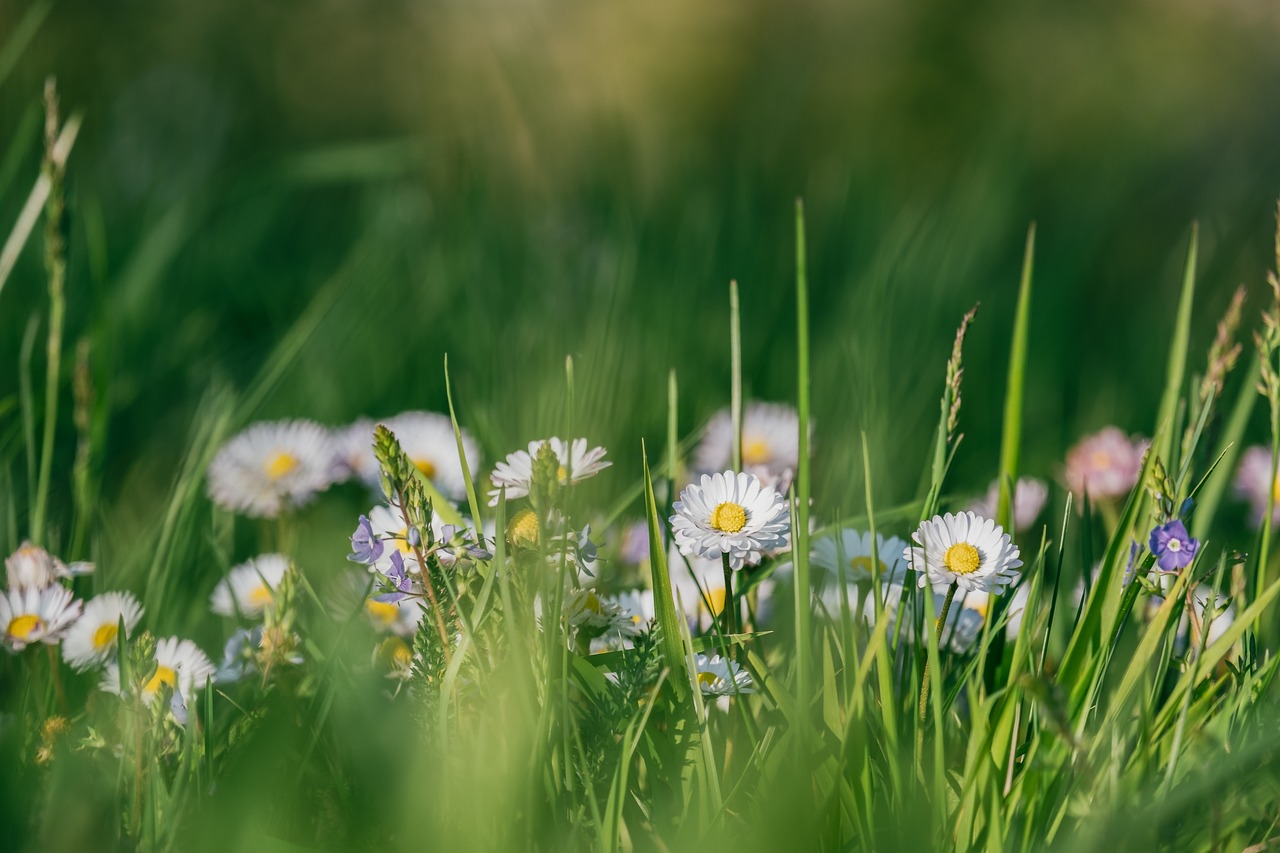 How to Create a Self-Sustaining Eco-Friendly Garden